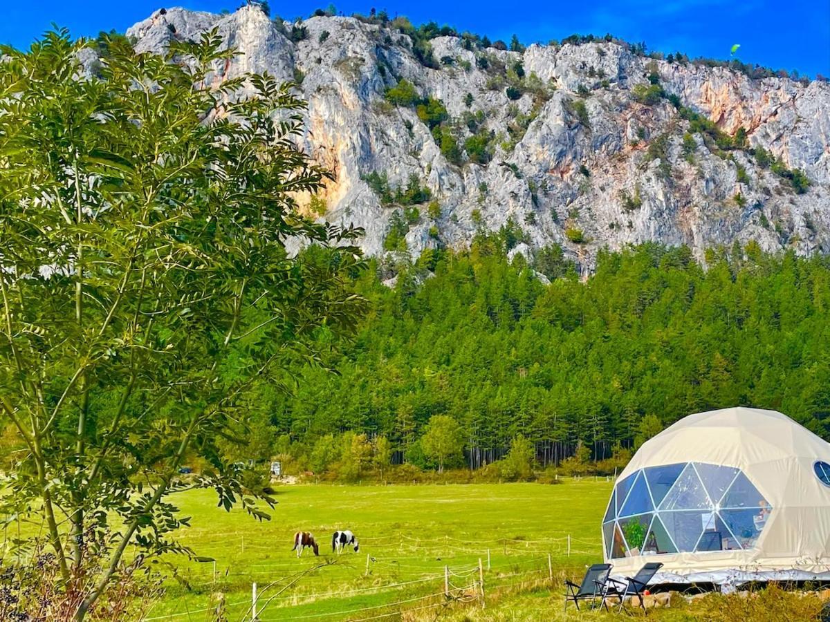 Glamping Hohe Wand - Zelt Mit Sternenfenster Und Whirlpool Hotel Maiersdorf Exterior photo